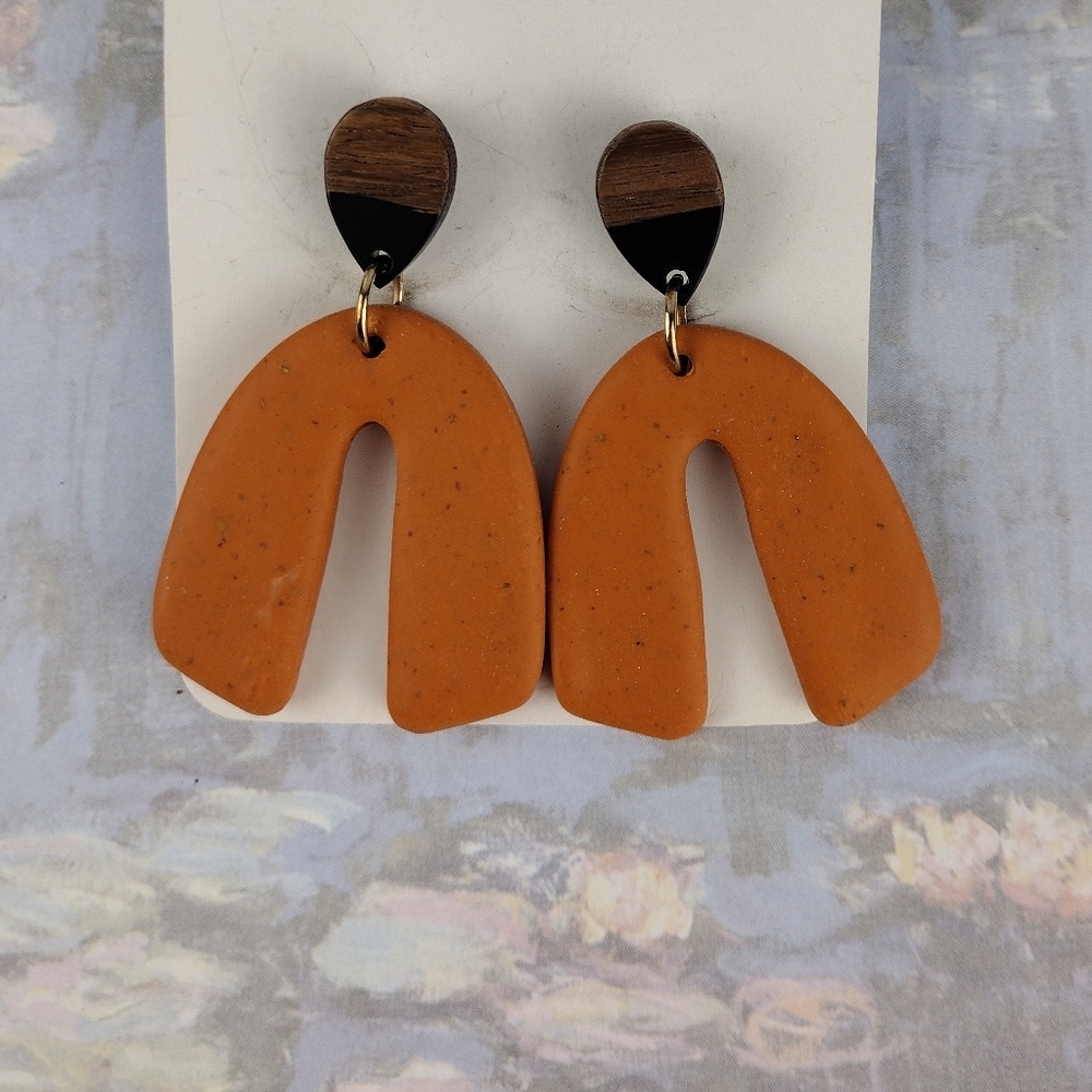 Earrings - Picture 1 of 1
